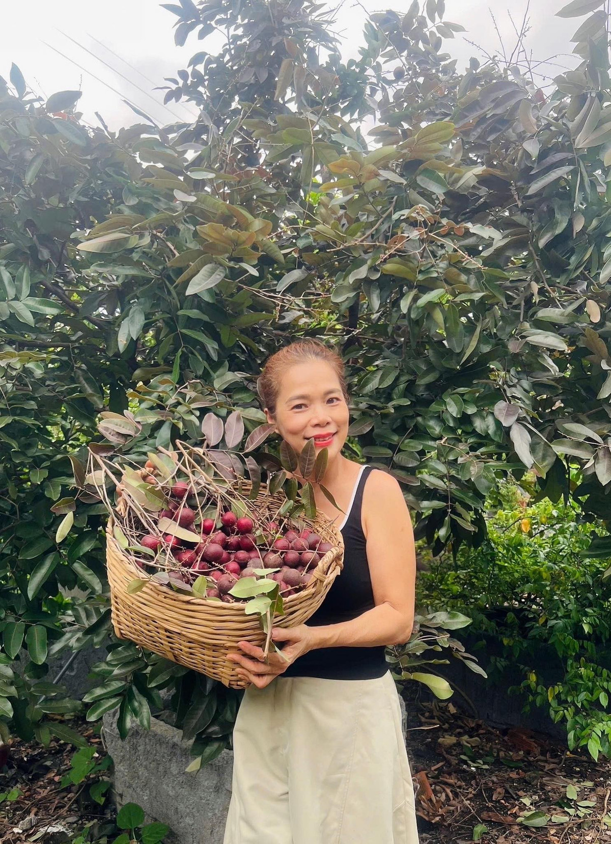 Nhiều người xuýt xoa, dành lời khen cho khu vườn xanh mát, ngập tràn cây quý hiếm của Mỹ Lệ. Ảnh: FB Hoàng Thị Mỹ Lệ