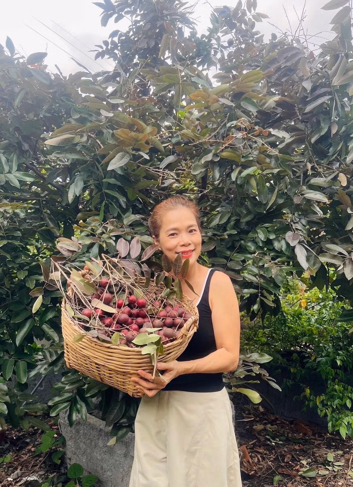 Ca sĩ Mỹ Lệ dành gần 10 năm để gây dựng khu vườn rộng hơn 10.000m2 tại phường Phú Thọ Hòa (quận Tân Phú cũ), TP HCM. Ảnh: FB Hoàng Thị Mỹ Lệ