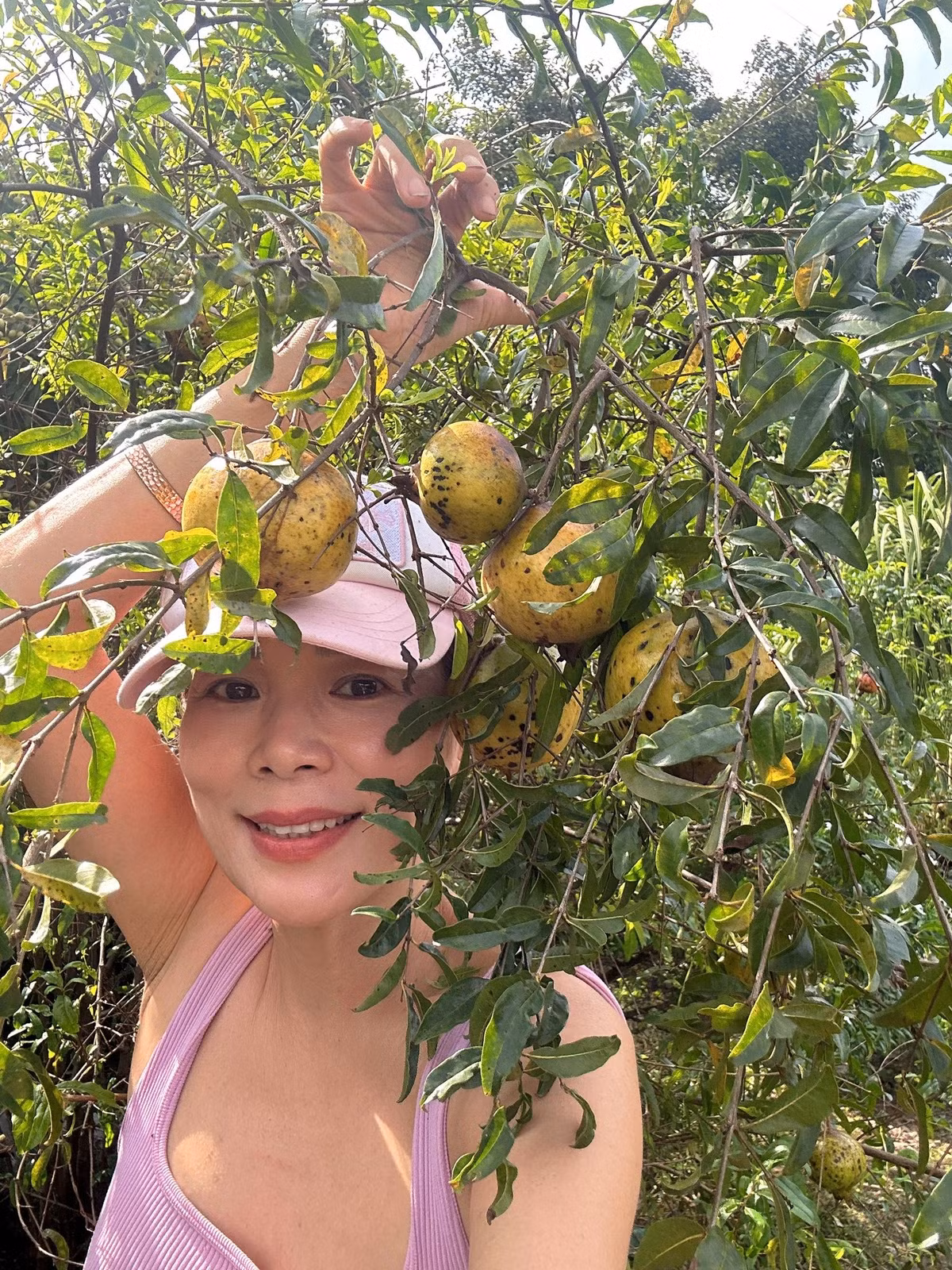 Mỹ Lệ cho biết, tất cả rau củ quả trong vườn đều là sản phẩm hữu cơ, trồng trên đất tốt, không sử dụng phân thuốc hóa học. Ảnh: FB Hoàng Thị Mỹ Lệ