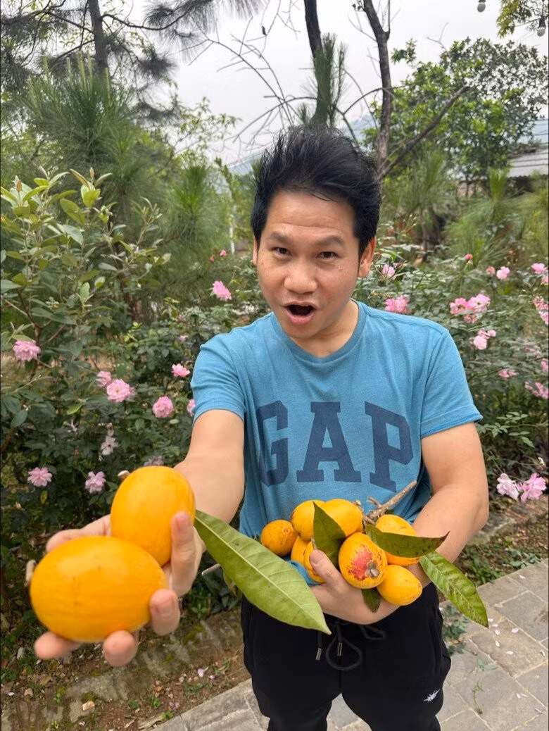 Trái trứng gà (hay còn gọi lêkima) gợi ký ức của nhiều người ở các vùng nông thôn Việt Nam những thập kỷ trước. Ảnh: FBNV