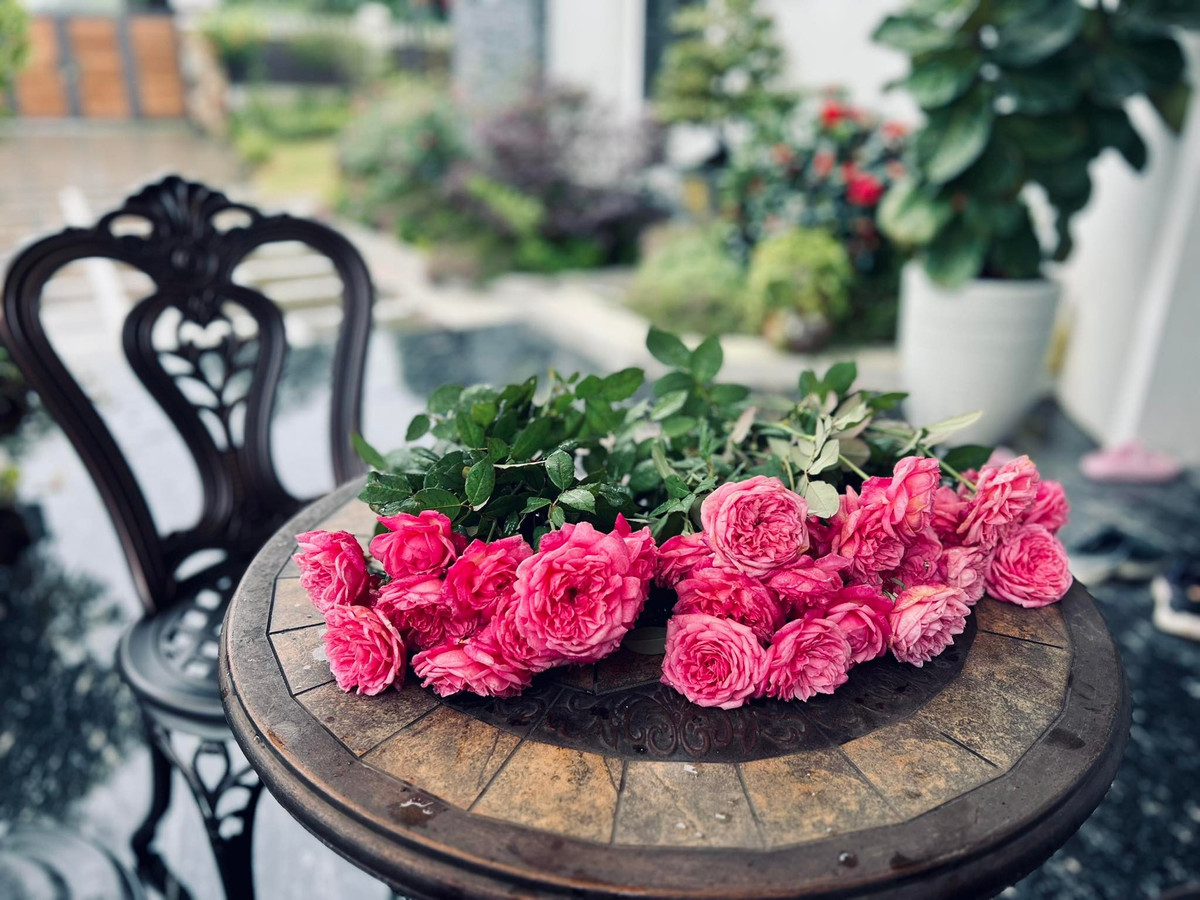 Những cành hồng được nữ MC cắt vào, chuẩn bị cắm. Ảnh: FB Dang Diem Quynh