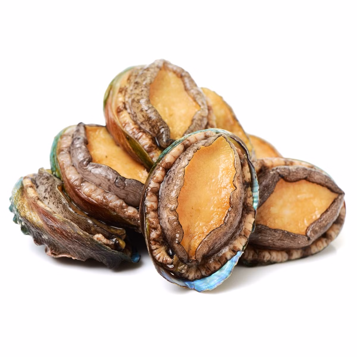 Bào ngư là nguyên liệu xa xỉ, đặc biệt khi chế biến cùng hoa trùng thảo. Ảnh: AKURUHI FOOD