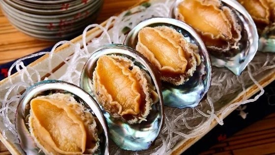 Bào ngư tại các nhà hàng sang trọng thường có giá từ vài trăm nghìn đến vài triệu đồng/kg, tuỳ loại. Ảnh: Báo nông nghiệp