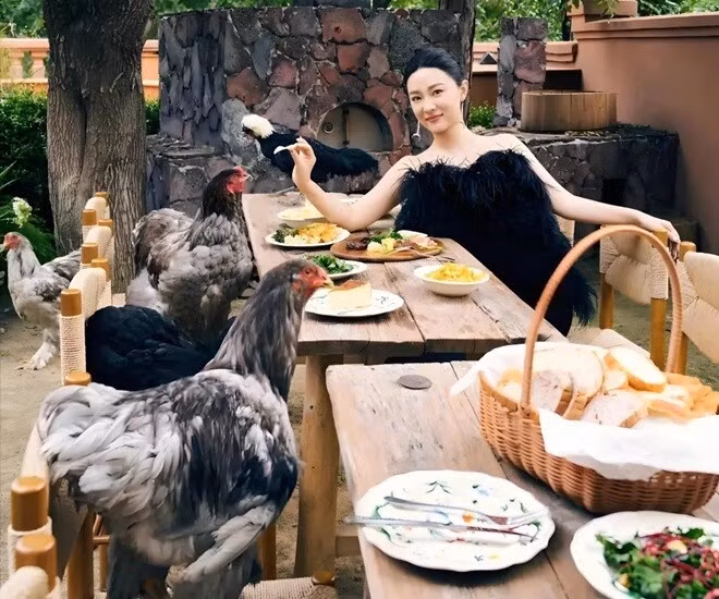 Đáng chú ý nhất là khu vườn với nhiều loại vật như thỏ, công, cún cưng, gà... Ảnh: QQ