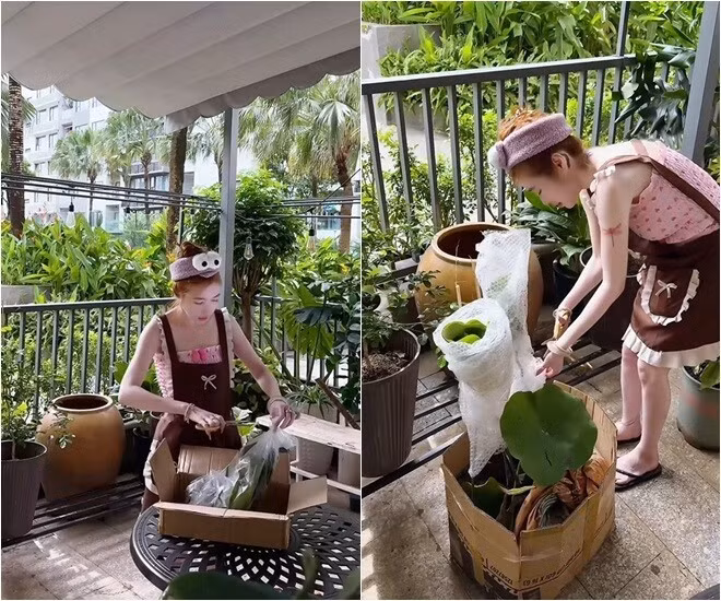 Mới đây, Elly Trần chia sẻ khoảnh khắc thường nhật trong vai trò "làm nông dân" thu hút sự chú ý của cộng đồng mạng. Ảnh chụp màn hình