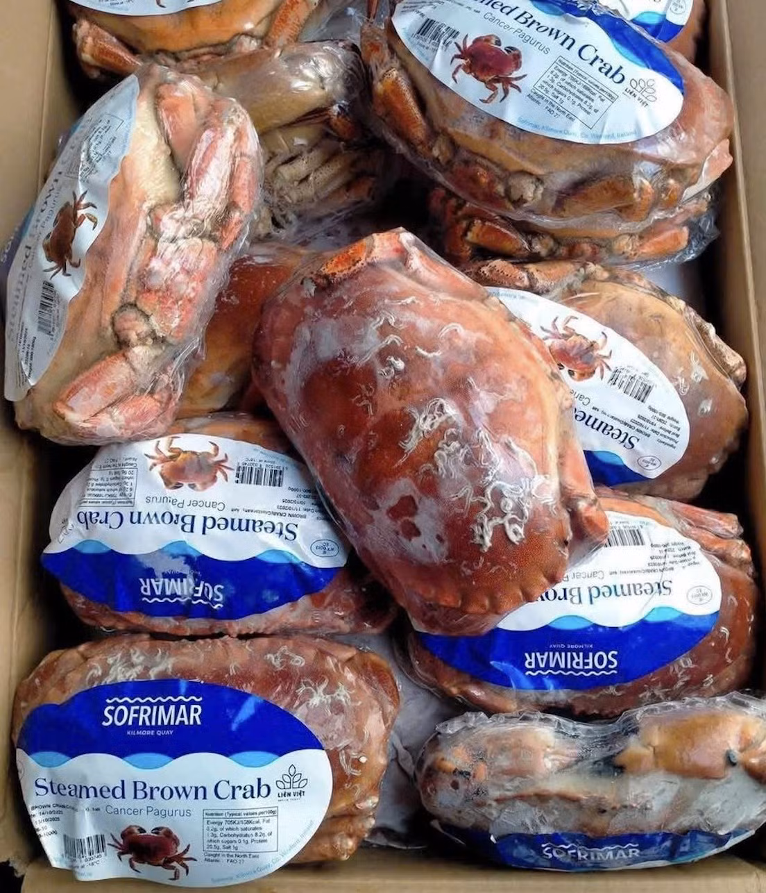 Mức 205.000 - 280.000 đồng/kg cua nâu Na Uy size 0,8-1kg/con được xem là giá “chạm đáy” kể từ khi mặt hàng này được nhập về và bán tại thị trường Việt. Ảnh: Vietnamnet