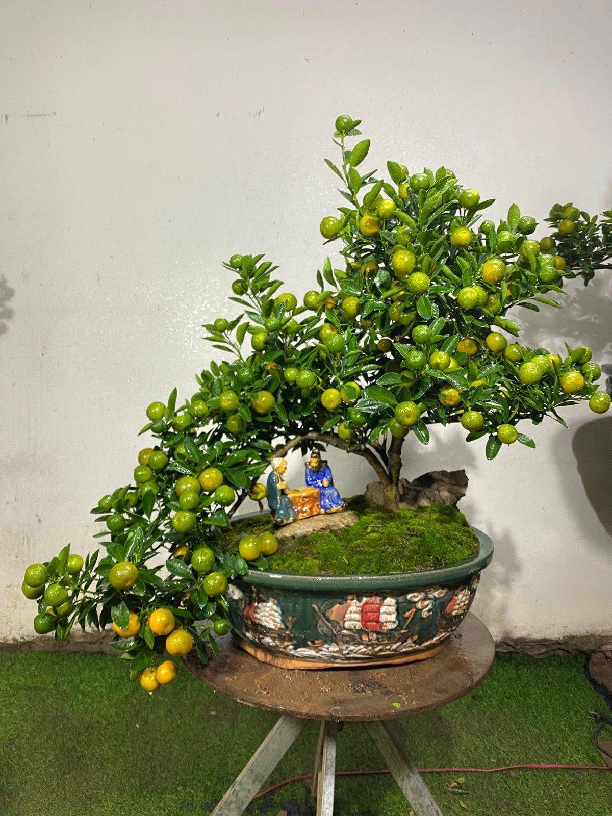 Quất ưa ánh sáng nhẹ, đất ẩm vừa phải và cần tránh tình trạng úng nước. Ảnh: Facebook