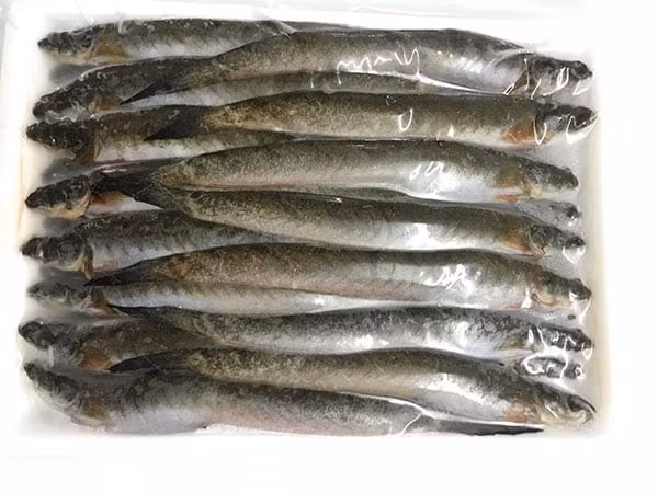 Không chỉ phục vụ thị trường nội địa, cá kèo còn được xuất khẩu sang Campuchia, Trung Quốc và một số nước châu Á khác dưới dạng tươi sống hoặc đông lạnh. Ảnh: Sài Thành Foods