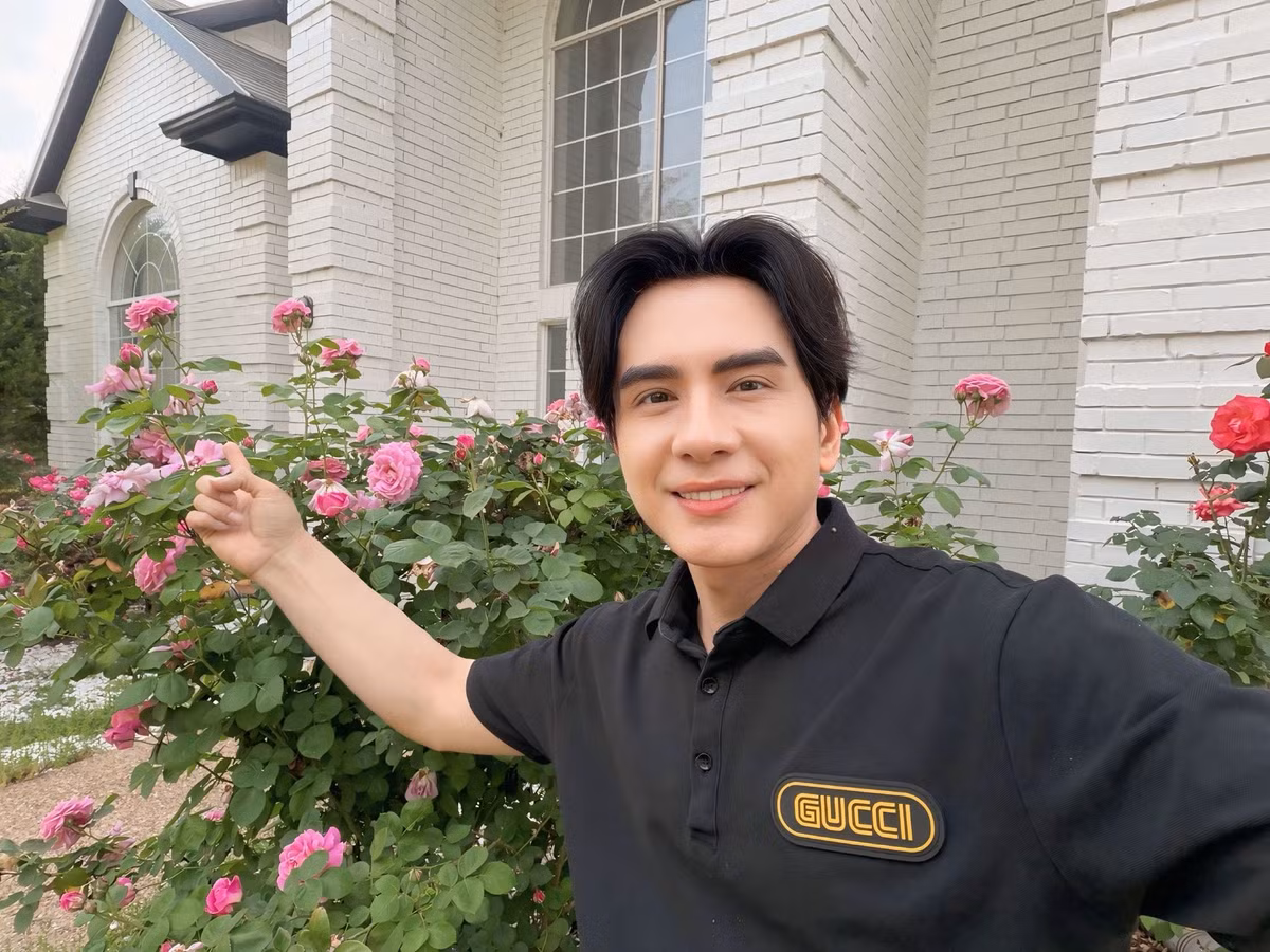 Dù vậy, những khóm hồng vẫn phát triển nhanh, cao gần bằng người nên trông rất bắt mắt. Ảnh: FB Dan Truong Pham