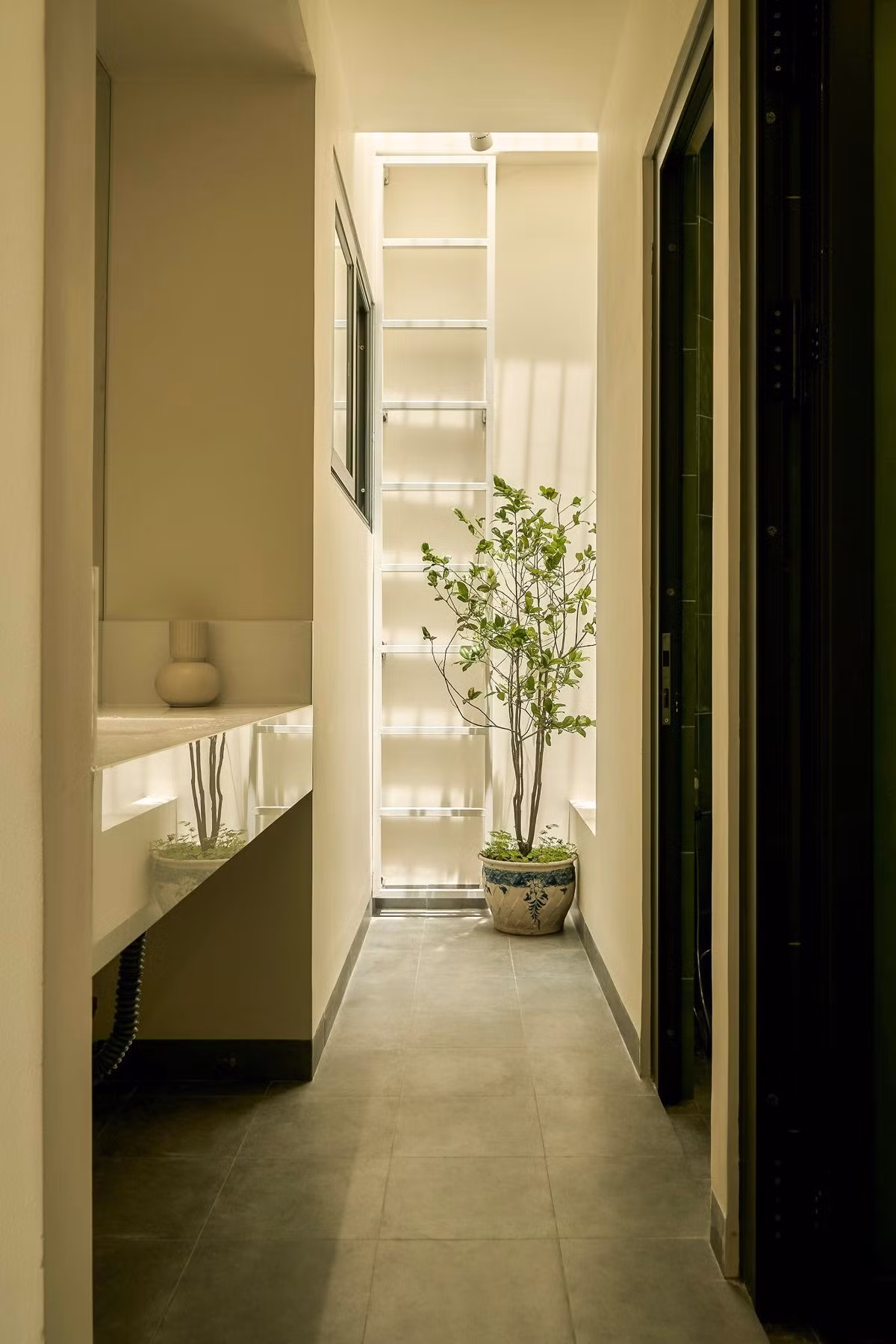 Cây xanh được bố trí ở nhiều ngóc ngách trong ngôi nhà. Ảnh: Nam Võ