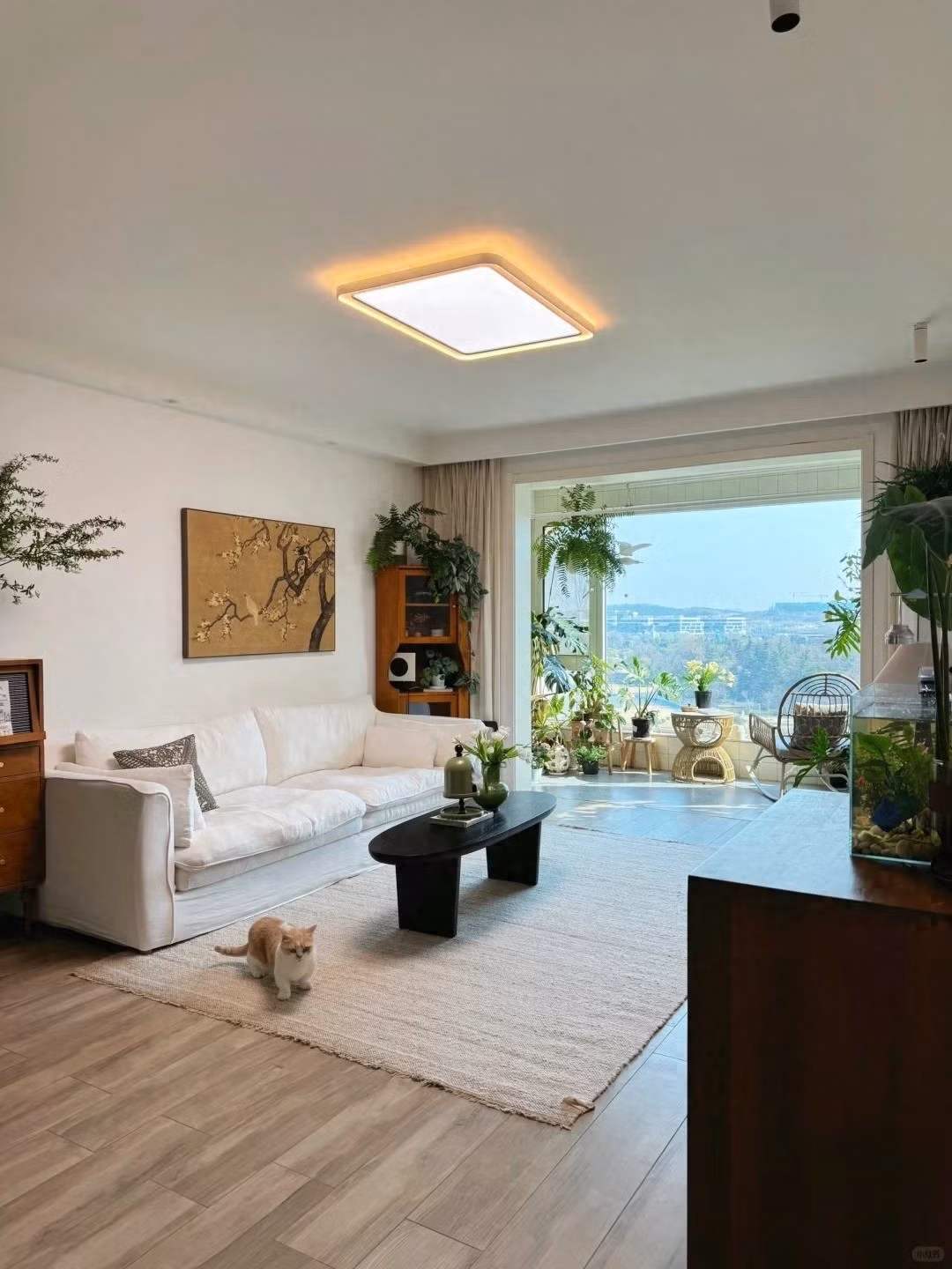 Giữa nhịp sống hối hả của Giang Tô (Trung Quốc), căn nhà của Tiểu Giang, nữ bác sĩ kiêm nhiếp ảnh gia 32 tuổi đang gây sốt rần rần cộng đồng mạng bởi tựa như một ốc đảo bình yên. Ảnh: Sohu