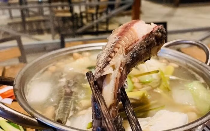 Thịt cá lau kiếng nhúng vào nước lẩu không quá dai, mà giữ được độ ngọt thanh. Ảnh: Internet