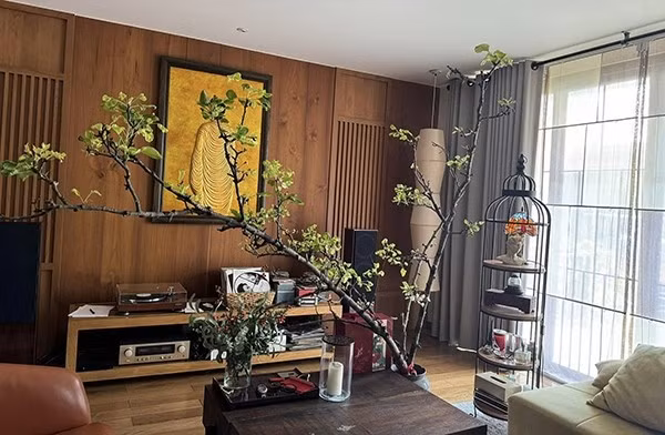 Nhờ vậy, ngôi nhà của Quang Dũng luôn ngập tràn ánh sáng tự nhiên. Ảnh: FBNV