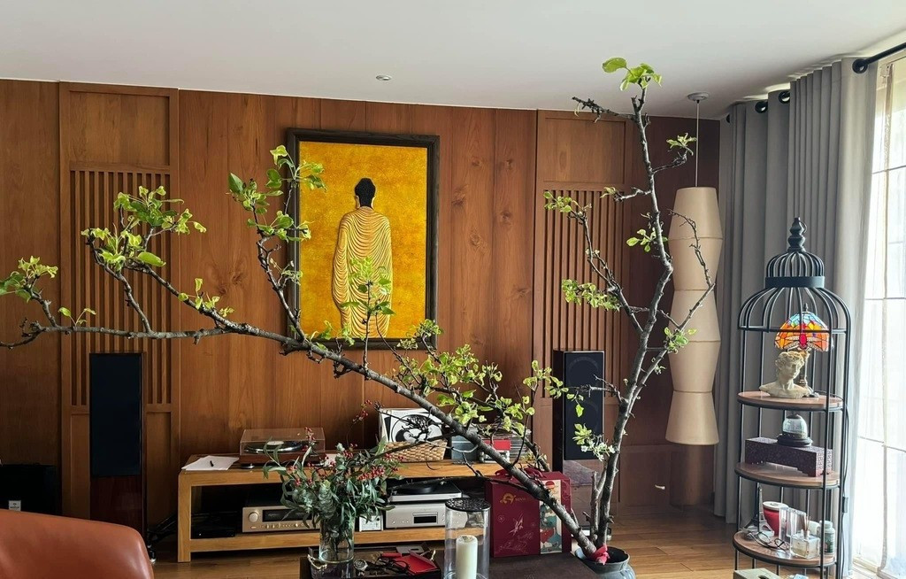 Khi ghé thăm, ca sĩ Thanh Thảo khen nhà Quang Dũng tiện nghi, ấm cúng, "đẹp hơn resort". Ảnh: FBNV