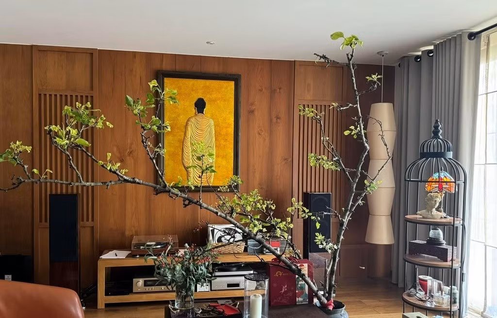 Khi ghé thăm, ca sĩ Thanh Thảo khen nhà Quang Dũng tiện nghi, ấm cúng, "đẹp hơn resort". Ảnh: FBNV