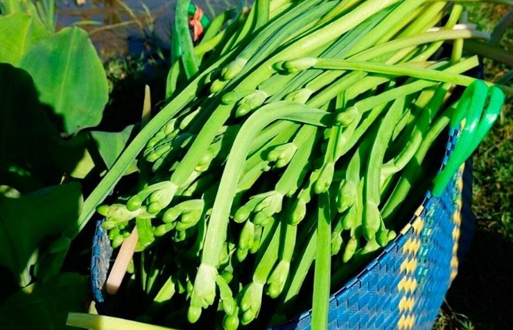 Giờ đây, kèo nèo trở thành đặc sản có hương vị lạ, xuất hiện trong các nhà hàng, quán ăn. Ảnh: Internet