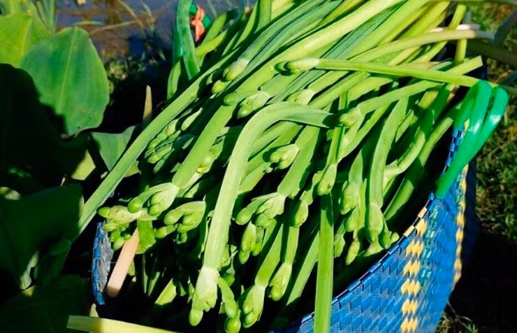 Giờ đây, kèo nèo trở thành đặc sản có hương vị lạ, xuất hiện trong các nhà hàng, quán ăn. Ảnh: Internet