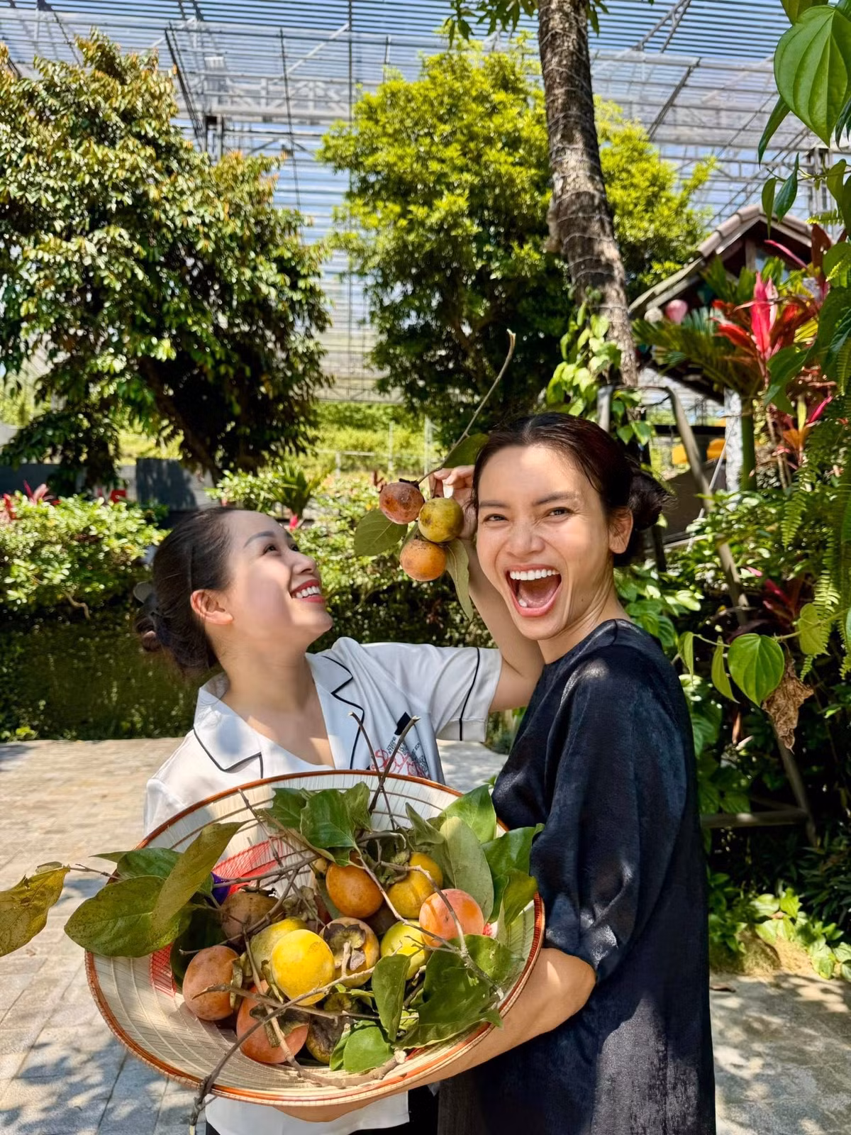 Mới đây, NSND Phạm Phương Thảo chia sẻ hình ảnh về ngôi nhà vườn ngập tràn cây trái sau một chuyến đi xa. Ảnh: FB Phạm Phương Thảo