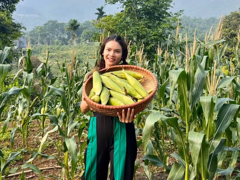 NSND Phạm Phương Thảo dành một khoảng vườn rộng để trồng các loại rau, củ. Ảnh: FB Phạm Phương Thảo