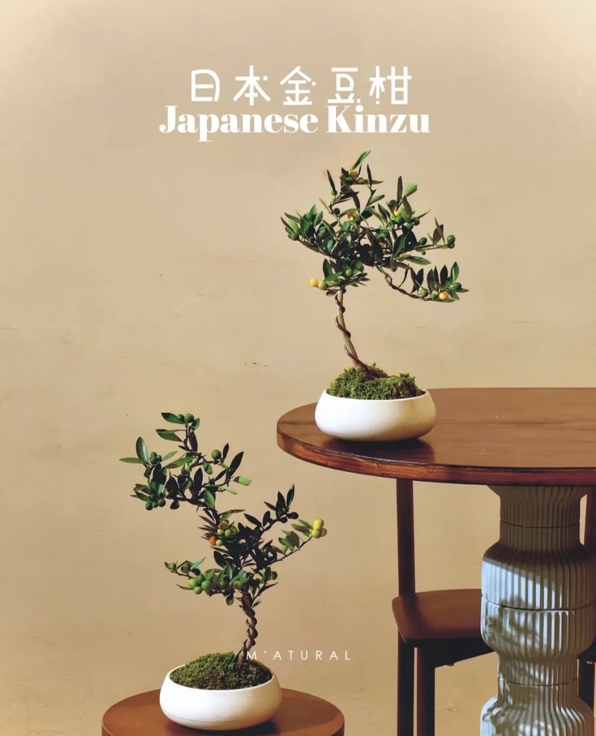 Phong cách này nhanh chóng lan tỏa, trở thành trend "nhà chật phải biết" vì phù hợp với không gian sống hiện đại, giá phải chăng và dễ trưng bày. Ảnh: M'atural - Malaysia