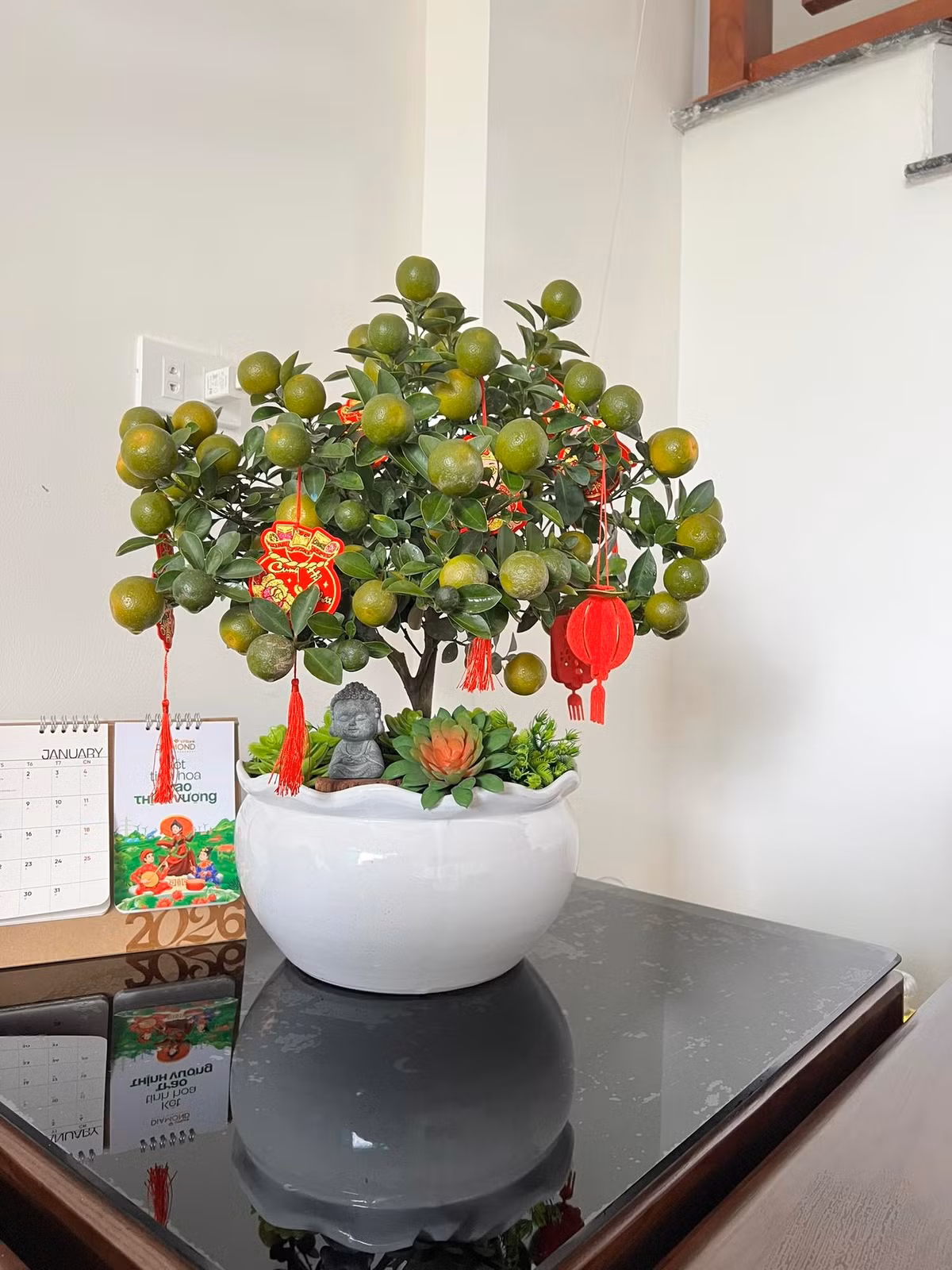 Nhiều khách hàng chọn cây dáng gọn, quả vừa phải thay vì cây to truyền thống, do dễ chăm và phù hợp không gian nhỏ. Ảnh: Facebook