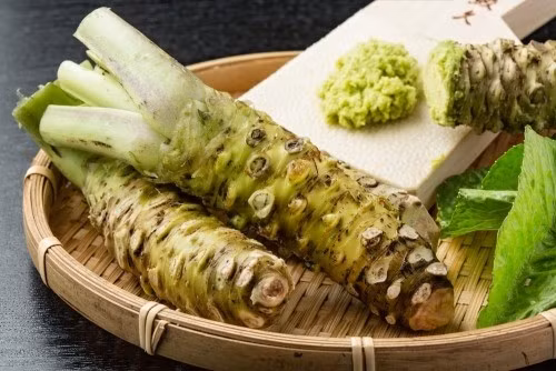 Wasabi là một loại củ thiết yếu trong ẩm thực Nhật Bản, nổi tiếng với vị cay nồng đặc trưng. Việc trồng trọt và thu hoạch Wasabi khó khăn nên giá cao khoảng 250 USD/kg (tương đương gần 7 triệu đồng)/kg. Ảnh: Shutterstock