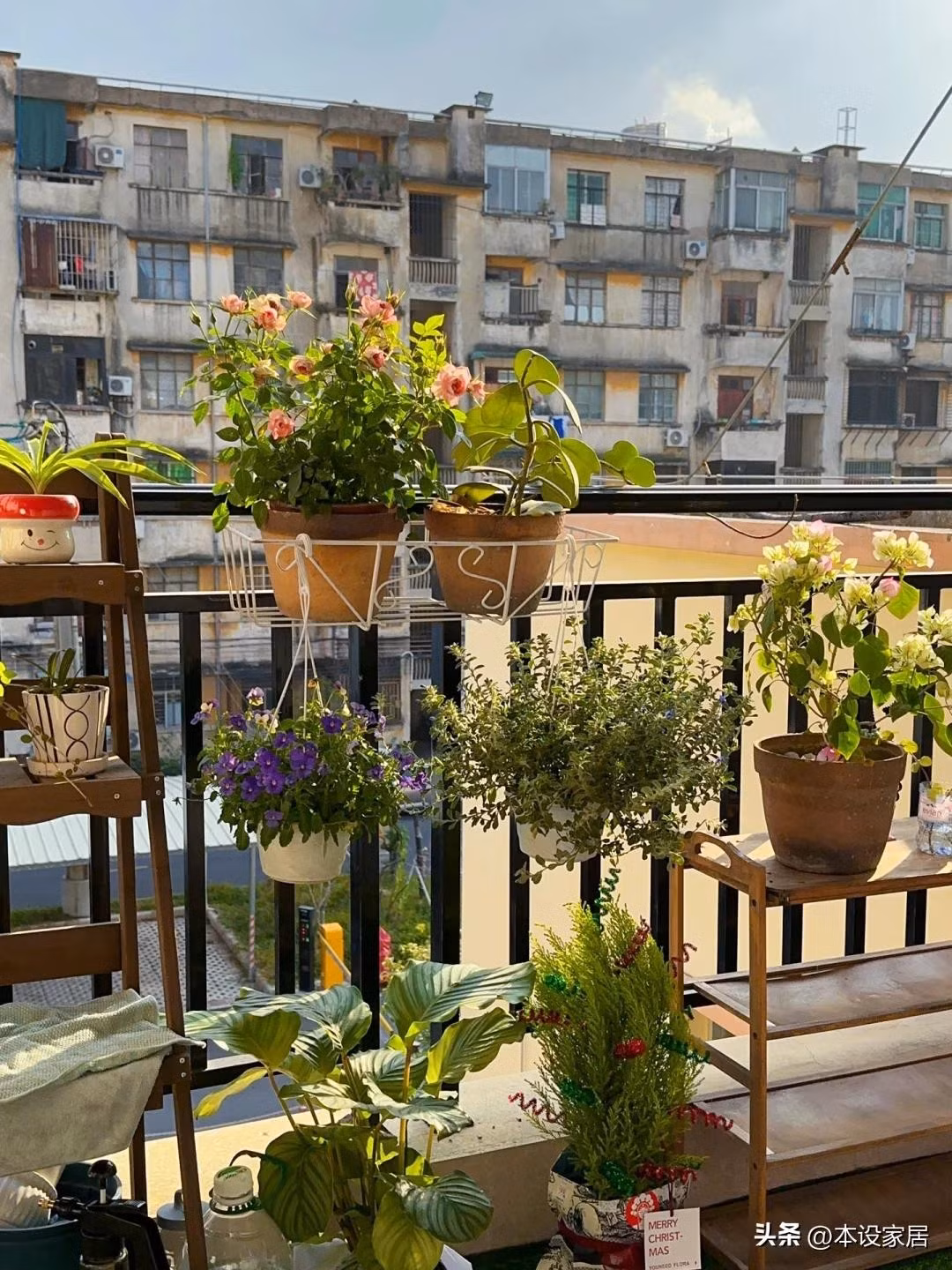 Chỉ với vài chậu hoa tươi, không gian ban công trở nên sinh động hơn. Ảnh: Sina
