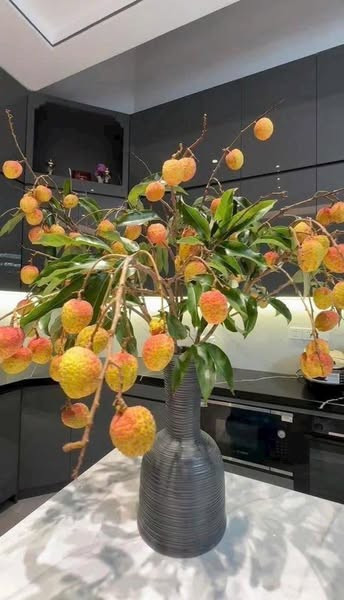 View - Vừa xuất hiện, cành quả vải độc lạ đã "gây sốt" thị trường | Báo Tri thức và Cuộc sống - TIN TỨC PHỔ BIẾN KIẾN THỨC 24H