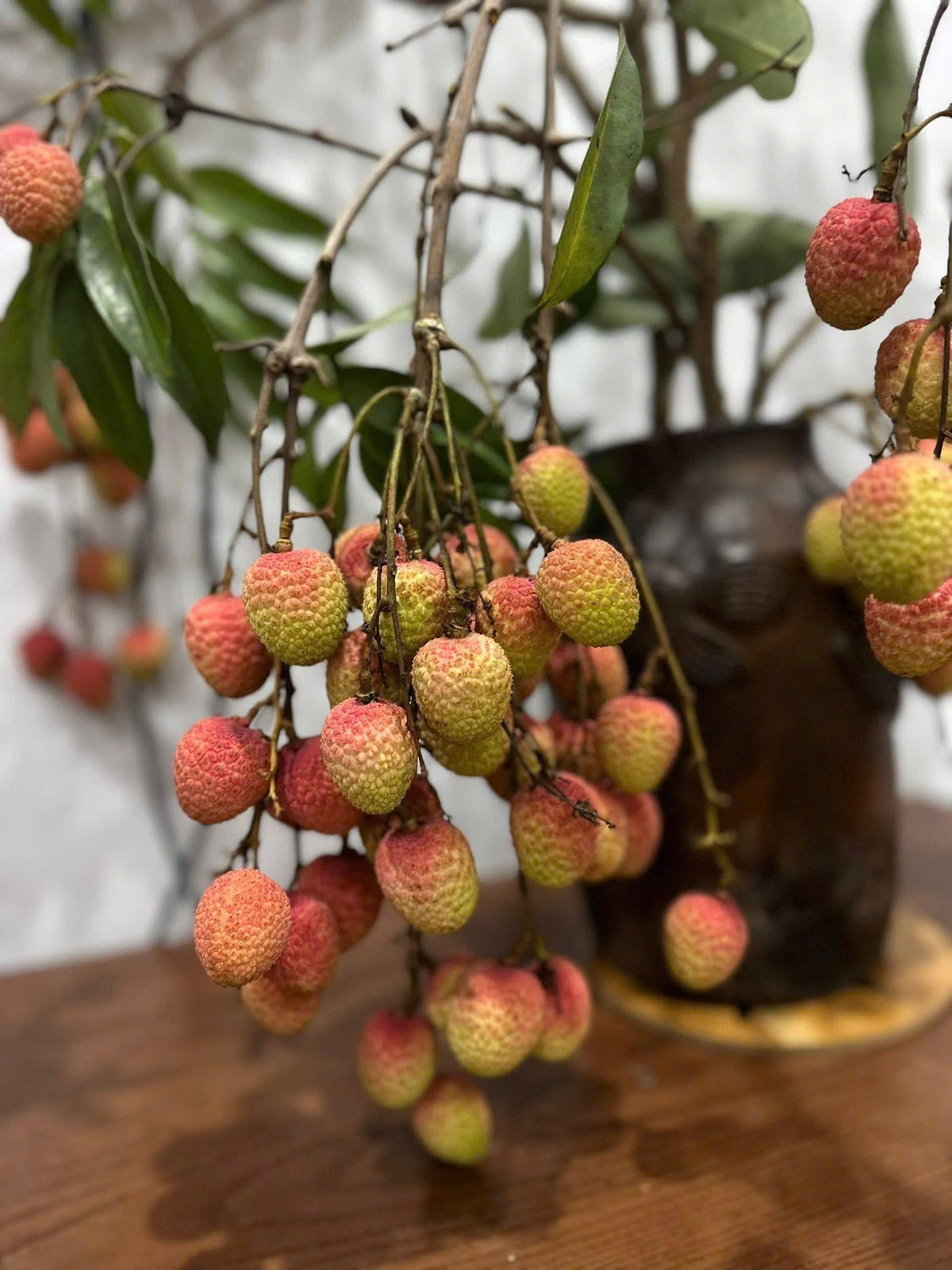 View - Vừa xuất hiện, cành quả vải độc lạ đã "gây sốt" thị trường | Báo Tri thức và Cuộc sống - TIN TỨC PHỔ BIẾN KIẾN THỨC 24H