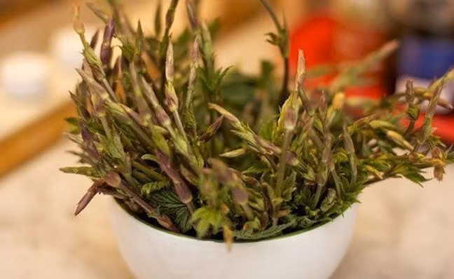 Tuy nhiên, sự thay đổi của xu hướng ẩm thực đã biến “phế phẩm” này thành món ăn thượng hạng. Ảnh: Getty