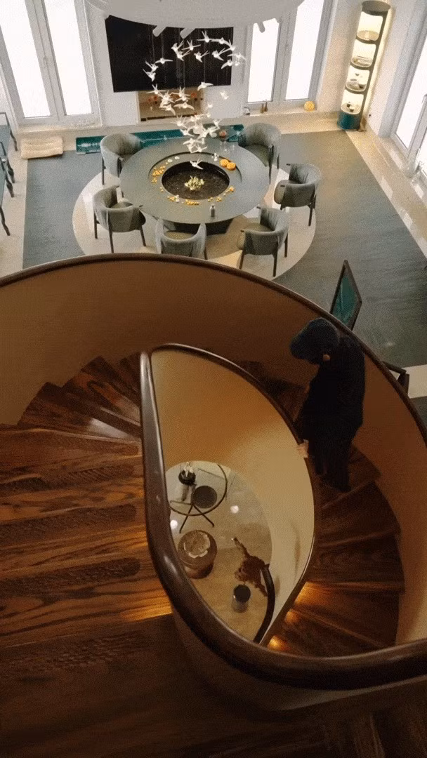 Cầu thang xoắn trở thành điểm nhấn của căn nhà. Ảnh: Sohu