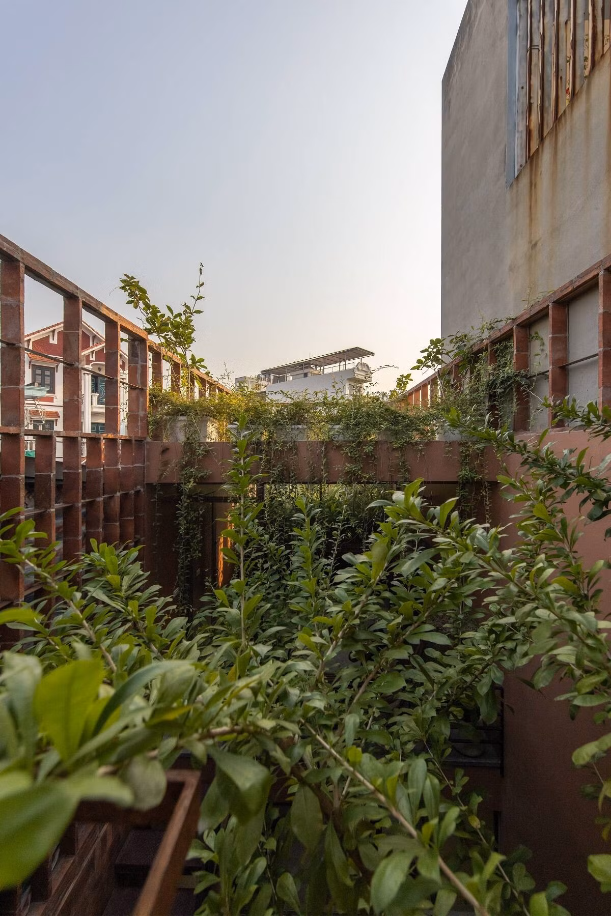 Cây xanh được đưa vào nhằm làm dịu sự bí bách của không gian nhà ống, đồng thời tạo sự gần gũi với thiên nhiên. Ảnh: Hoang le