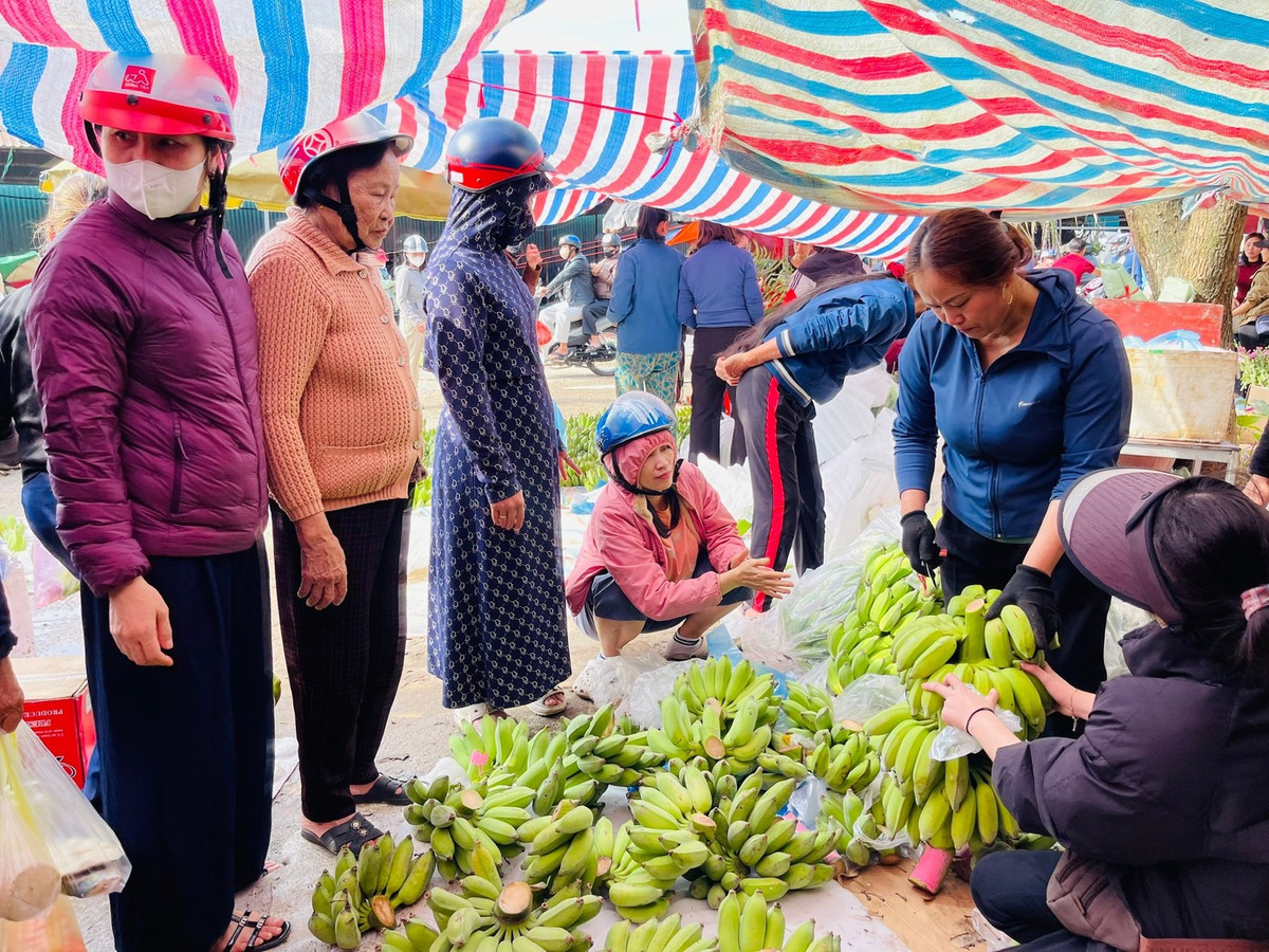 Dù giá chuối tăng cao, nhưng nhu cầu người mua để bày mâm ngũ quả trong ngày Tết.