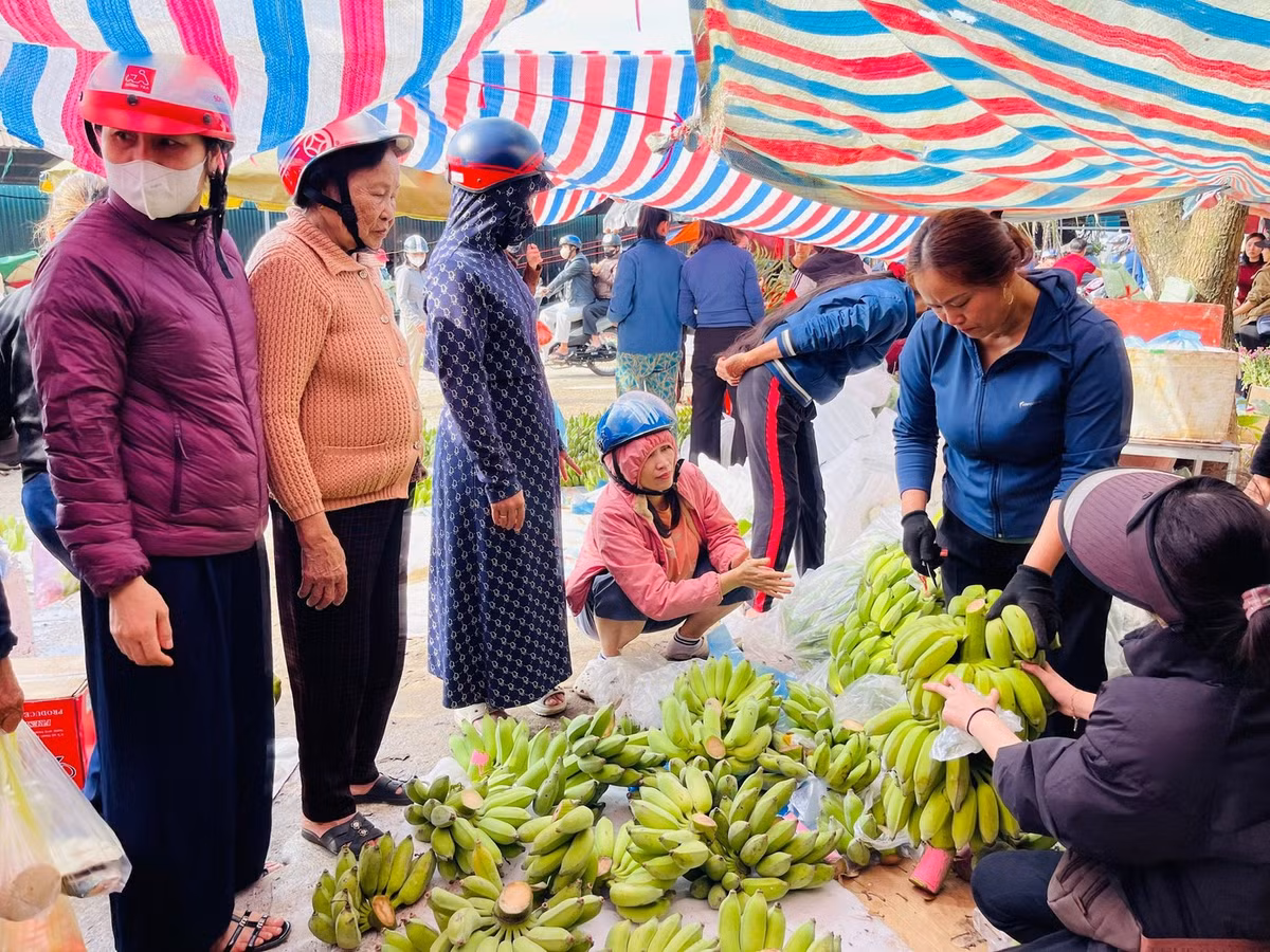 Dù giá chuối tăng cao, nhưng nhu cầu người mua để bày mâm ngũ quả trong ngày Tết.