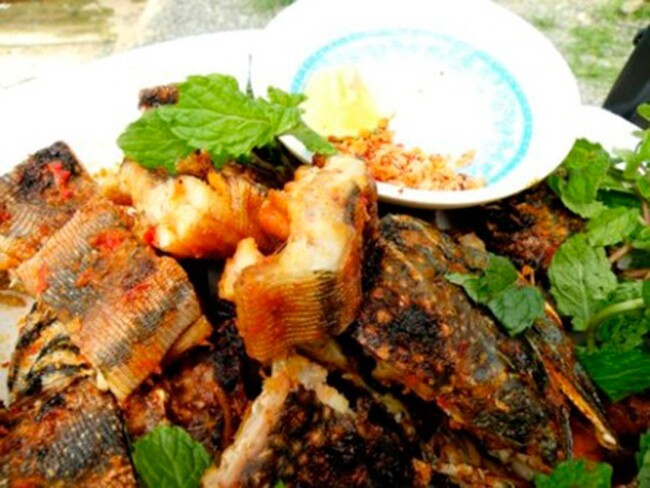 Thịt dông cát màu trắng, thớ săn chắc, ngọt và thơm hơn thịt gà. Ảnh: Internet