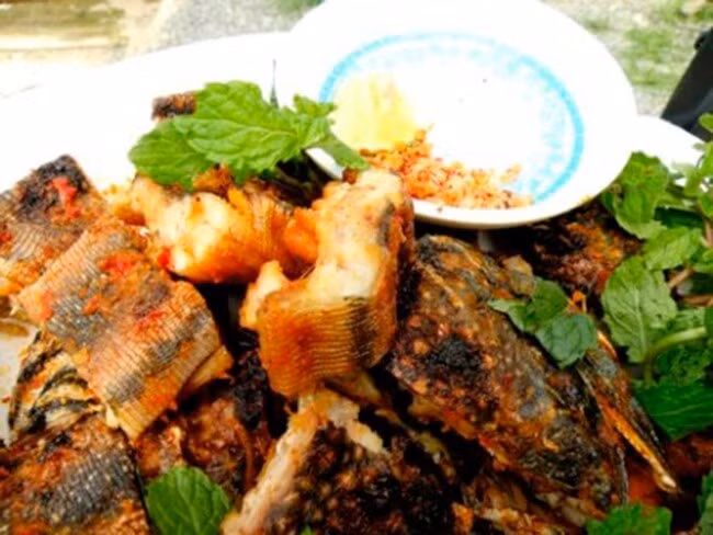 Thịt dông cát màu trắng, thớ săn chắc, ngọt và thơm hơn thịt gà. Ảnh: Internet