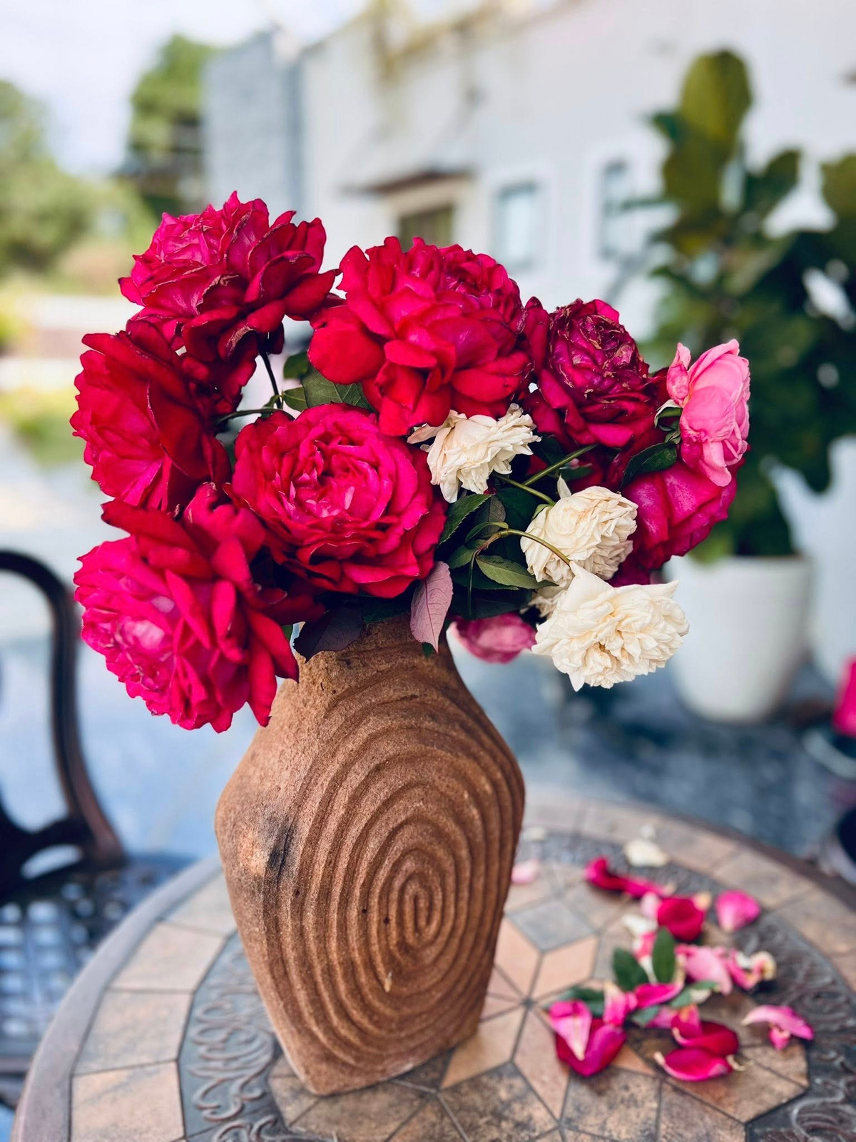 Qua những hình ảnh được MC Diễm Quỳnh chia sẻ trên trang cá nhân, có thể thấy khu vườn trong cơ ngơi được chăm chút kỹ lưỡng. Ảnh: FB Dang Diem Quynh