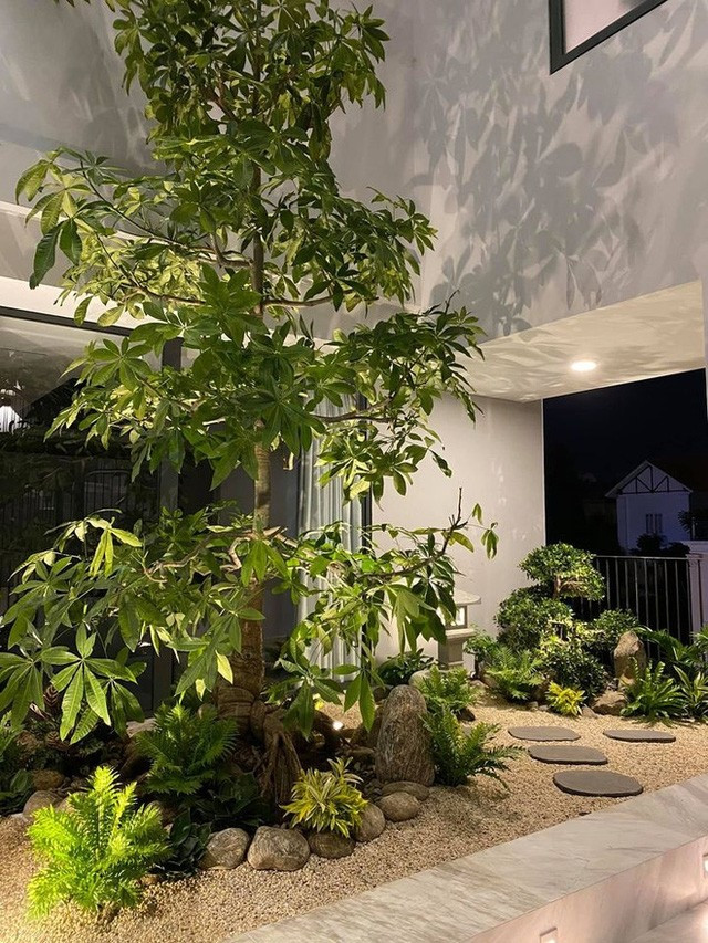 Vợ chồng Cường Đô La - Đàm Thu Trang thiết kế khu vực tiểu cảnh, trồng cây xanh trong nhà. Ảnh: FBNV