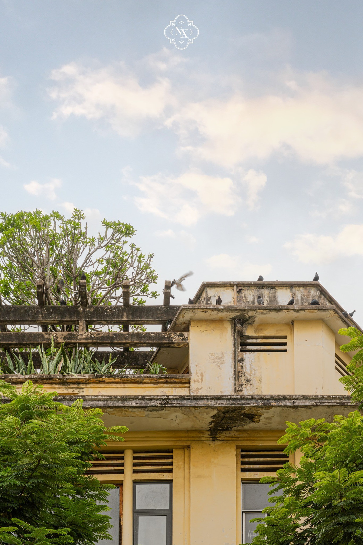 Những mảng tường rêu phong của căn biệt thự. Ảnh: FB Nguyễn Xuân