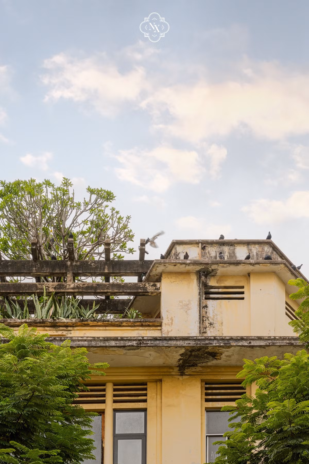 Những mảng tường rêu phong của căn biệt thự. Ảnh: FB Nguyễn Xuân