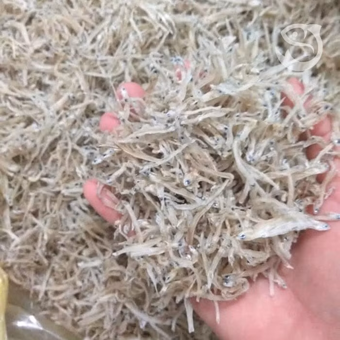 Cá mờm cơm chứa hàm lượng canxi cao, giúp cải thiện sức khỏe xương và răng, phòng ngừa loãng xương... Ảnh; Dân Việt