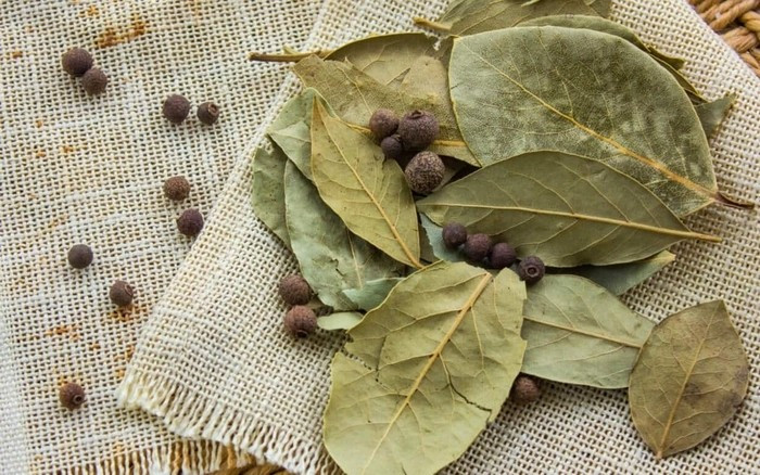 View - Loại lá rụng đầy vườn ở Việt Nam, ra nước ngoài 2 triệu đồng/kg | Báo Tri thức và Cuộc sống - TIN TỨC PHỔ BIẾN KIẾN THỨC 24H