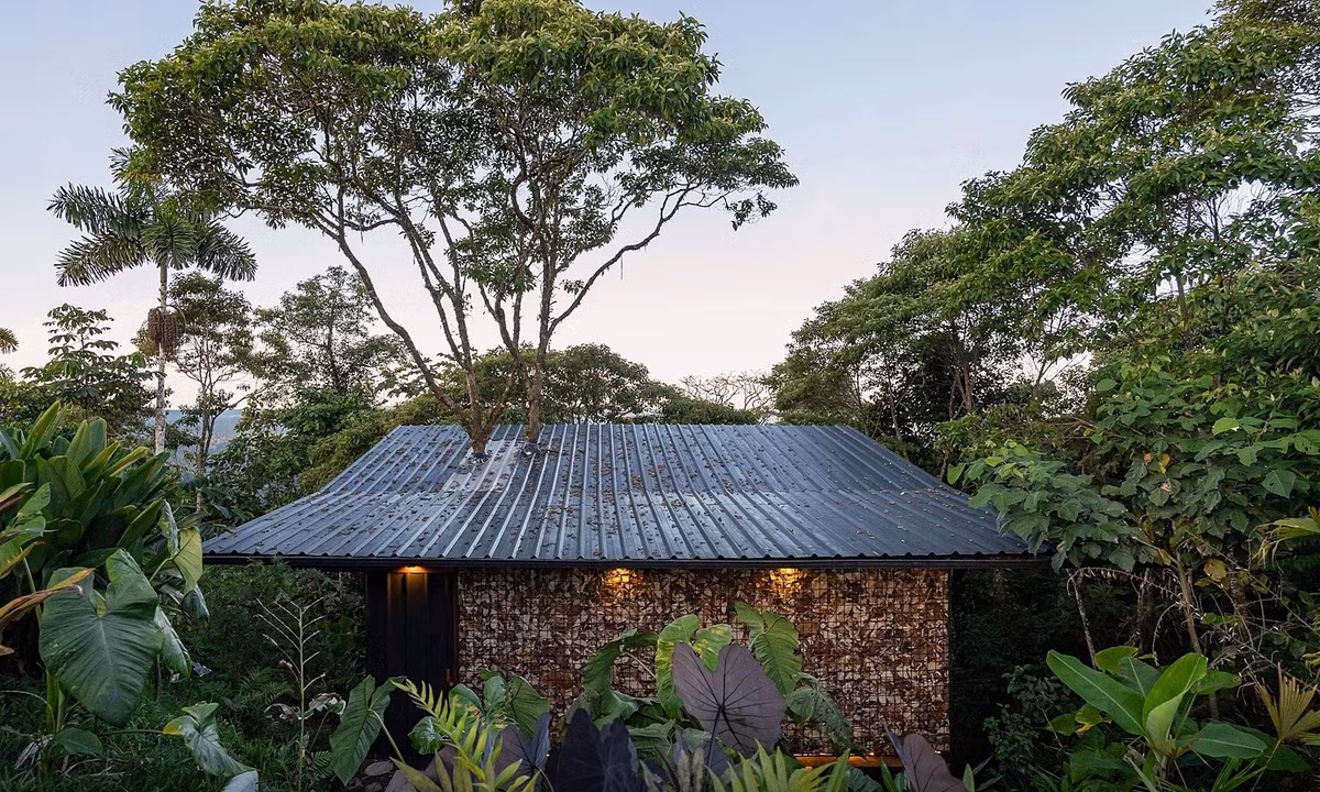 Đáng chú ý, căn nhà nằm ngang bám theo triền đồi, giữ nguyên vị trí cây lớn vốn tồn tại ở đó. Nhờ đó, cây vẫn tiếp tục sinh trưởng và tạo điểm nhấn cho không gian. Ảnh: Archdaily