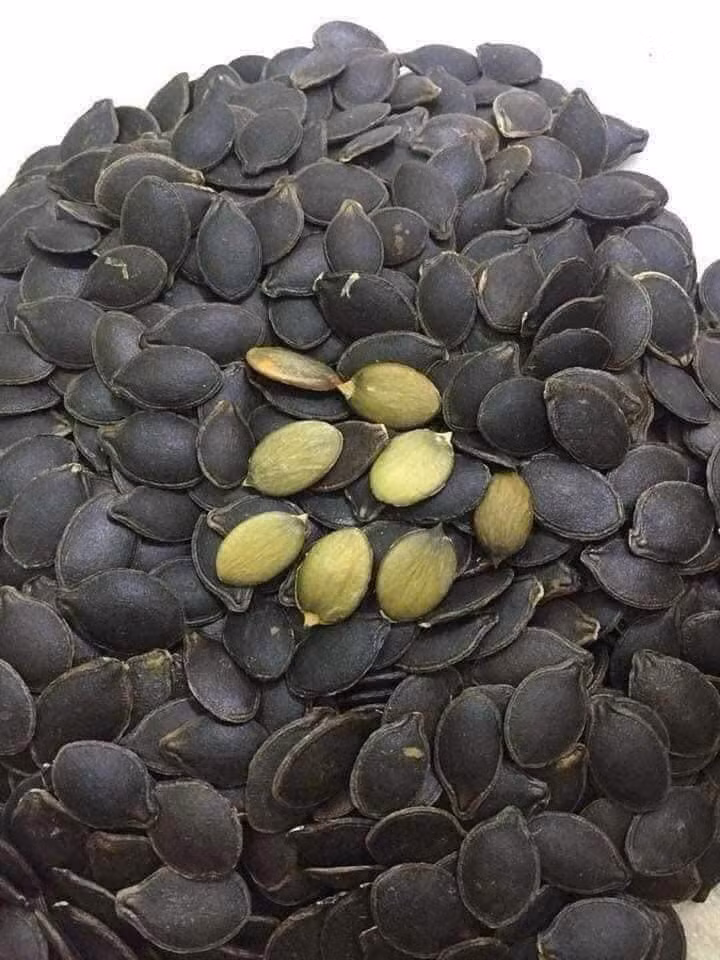 Lúc còn non, hạt bí mèo màu trắng, khi già, hạt bí mèo dần chuyển màu đen. Ảnh: Facebook