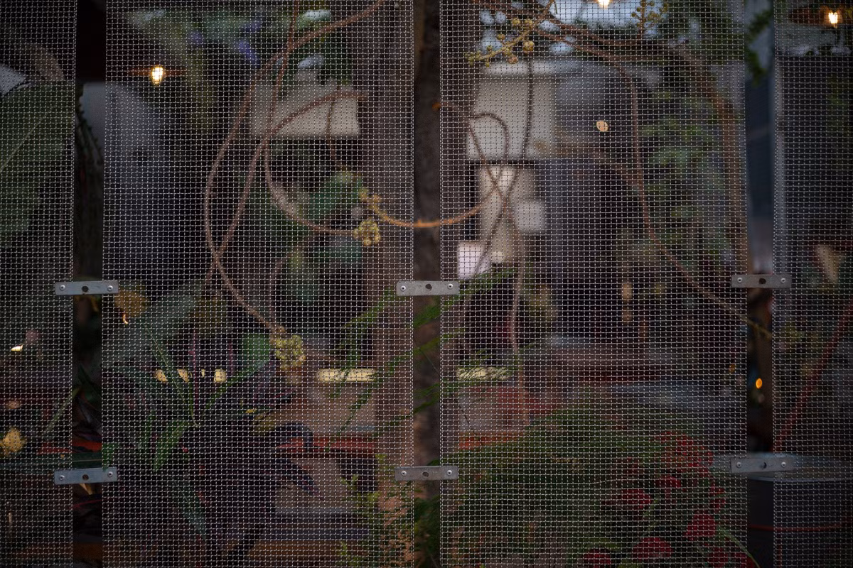 Mặt tiền được dệt từ lưới thép, giúp giảm khối lượng thị giác của cấu trúc đồng thời thúc đẩy sự tích hợp liền mạch giữa kiến ​​trúc và cây xanh. Ảnh: Quang Đàm