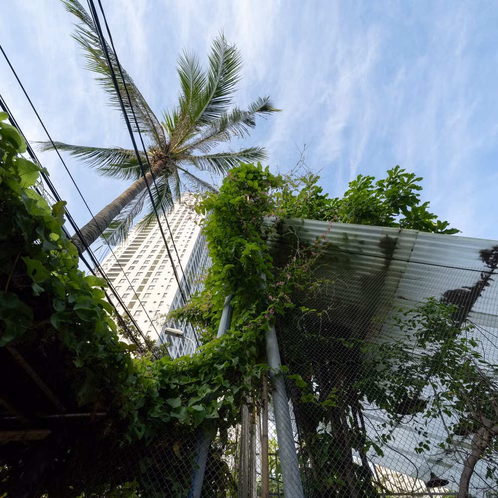 Vật liệu là các giải pháp nhẹ tương tác tự nhiên với môi trường xung quanh. Hệ thống mái được thiết kế như một lớp gợn sóng tinh tế, giống như một đám mây trôi, tạo bóng râm mà không chặn hoàn toàn ánh sáng tự nhiên. Ảnh: Quang Đàm