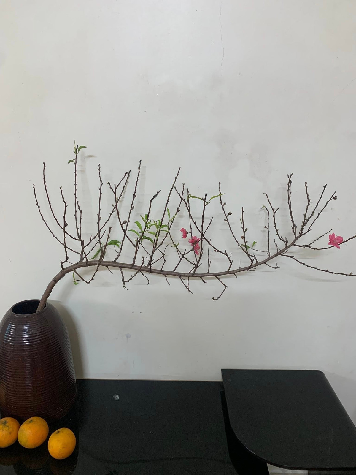 Do giá vừa phải, dáng đẹp nên đào huyền mini khá hút khách. Ảnh: FB Thủy Linh