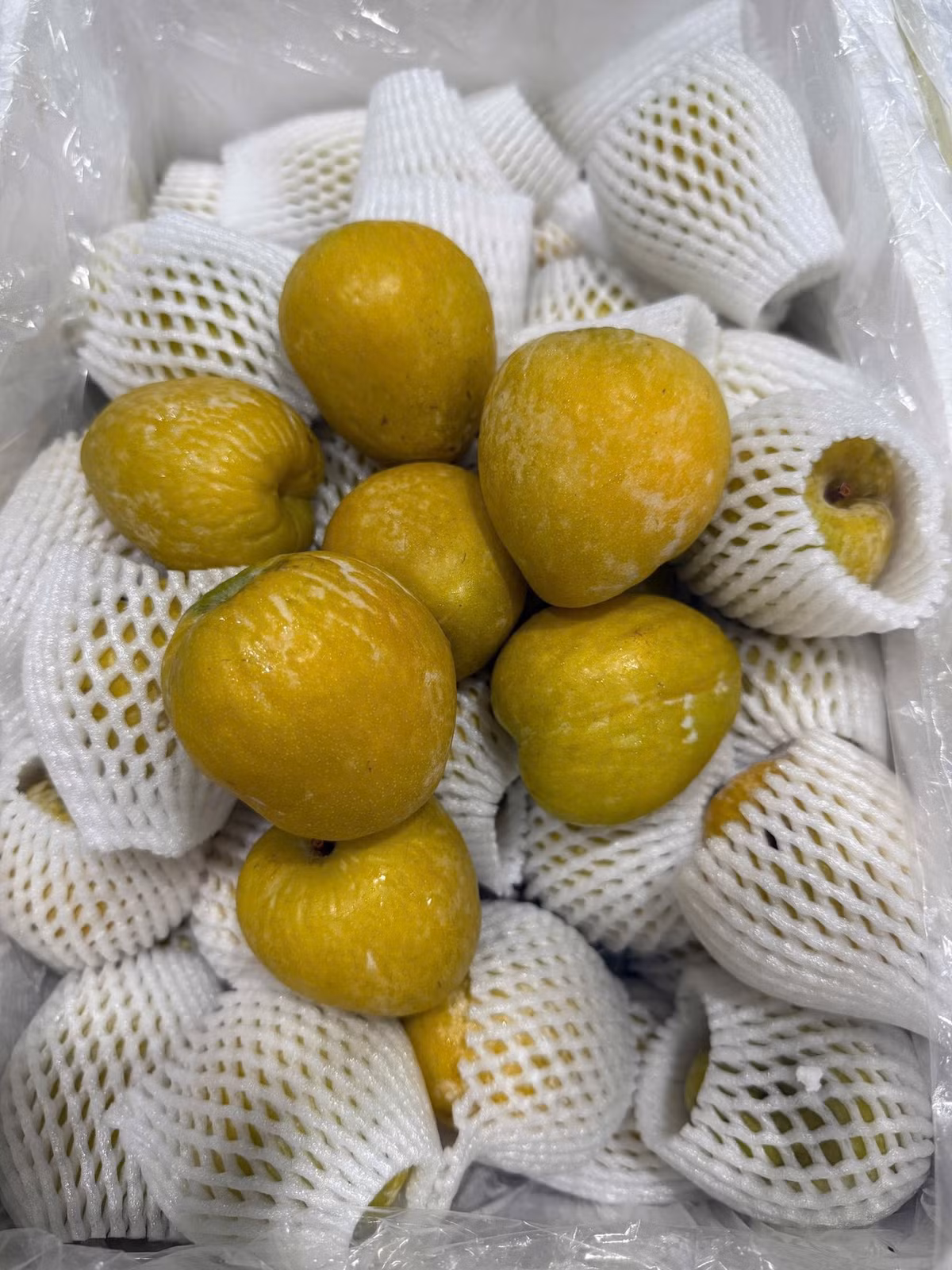 Theo chị Mai, mức giá này rẻ hơn rất nhiều kể từ khi mận cau Trung Quốc xuất hiện và gây sốt tại thị trường Việt. Ảnh: Facebook