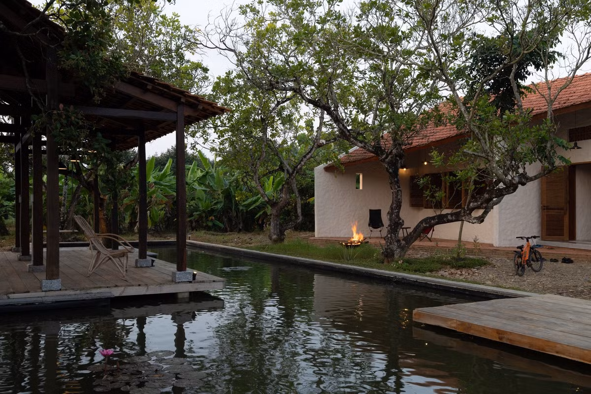 Một ao nước trung tâm được thêm vào để điều chỉnh nhiệt độ, hỗ trợ đa dạng sinh học và đóng vai trò là cầu nối không gian giữa các khối xây dựng. Ảnh: Quang Dam