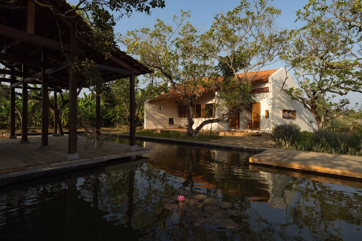 Các hiên phía đông được nâng lên để đón ánh nắng mặt trời buổi sáng, trong khi các mặt phía tây được hạ xuống và được cây che bóng để giảm nhiệt. Ảnh: Quang Dam